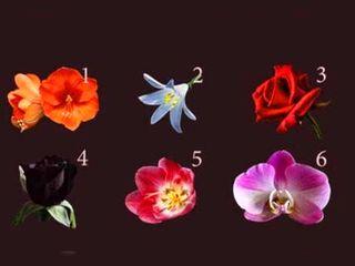 با انتخاب یکی از گل‌ها، احساسات شما لو می‌رود/ انتخاب کن تا بهت بگم!